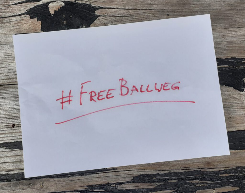 #freeBallweg